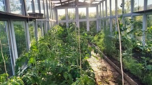 Garden - OW Sargus (Wladyslawowo)