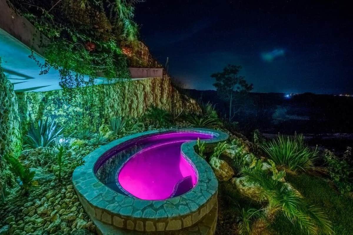 Un bain à remous à la forme arrondie, agrémenté de pierres, entouré d’une végétation luxuriante et offrant une vue sur le ciel nocturne.
