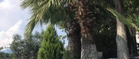 2 piscines extérieures, piscine à débordement, cabanons gratuits