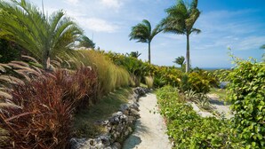 A pathway surrounded by tropical vegetation and palm trees. - Villas Agua Dulce - Villa Eden (Sosúa)