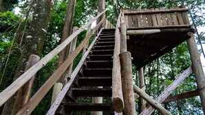 A wooden staircase leading up to a platform in a forested area. - Vale das Águas Fazenda Resort (Aguas de Santa Barbara)