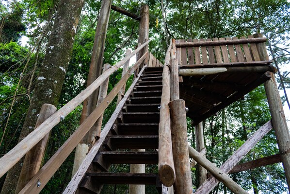 A wooden staircase leading up to a platform in a forested area.