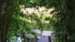 Une jetée en bois s’étendant sur une étendue d’eau calme, entourée d’une végétation dense de bambous.