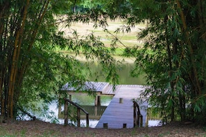 A wooden dock extending into a calm body of water, surrounded by dense bamboo foliage.