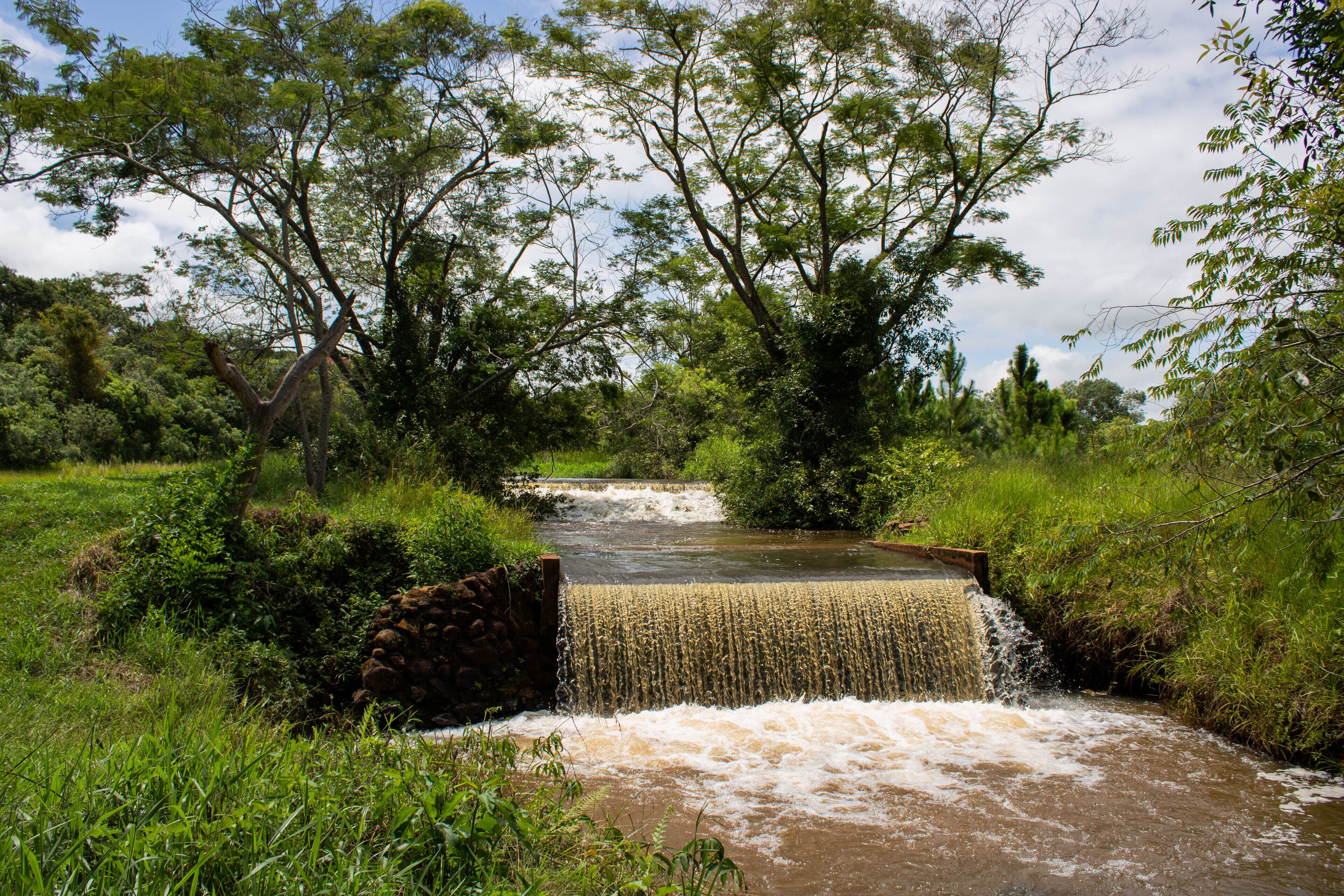 Pequena cascata em área verde exuberante, com árvores e uma estrutura de pedra.