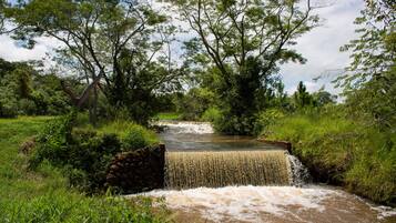 Pequena cascata em área verde exuberante, com árvores e uma estrutura de pedra.