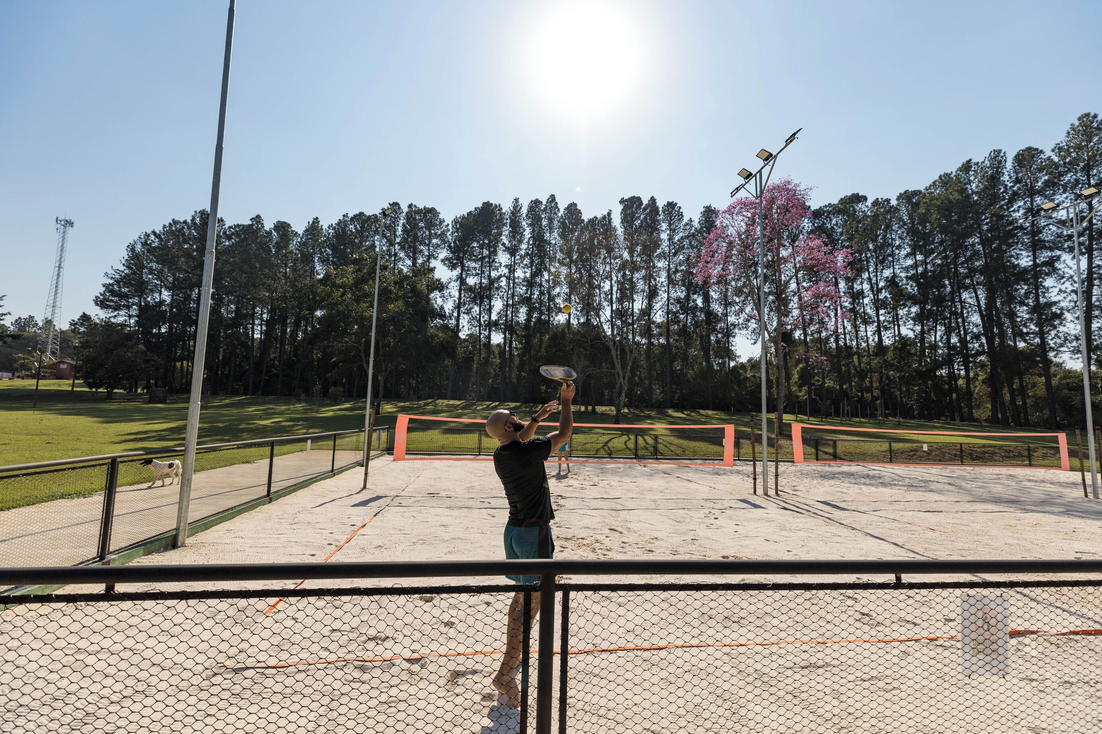 Una cancha de tenis con red, rodeada de una cerca y árboles al fondo.