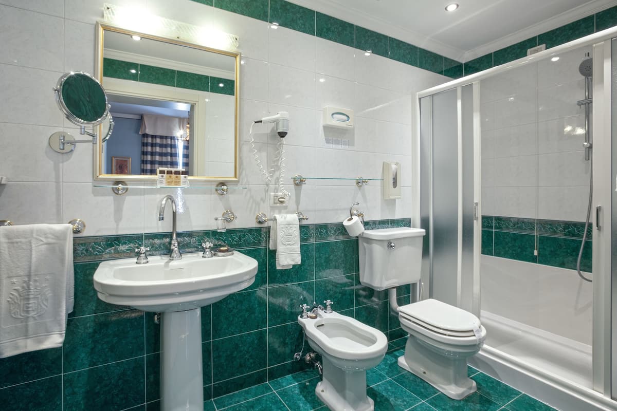 standard double or twin room | bathroom | shower, free toiletries, hair dryer, bidet