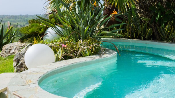 A swimming pool surrounded by lush greenery and rocks. - Villas Agua Dulce - Loft Panaema (Sosúa)