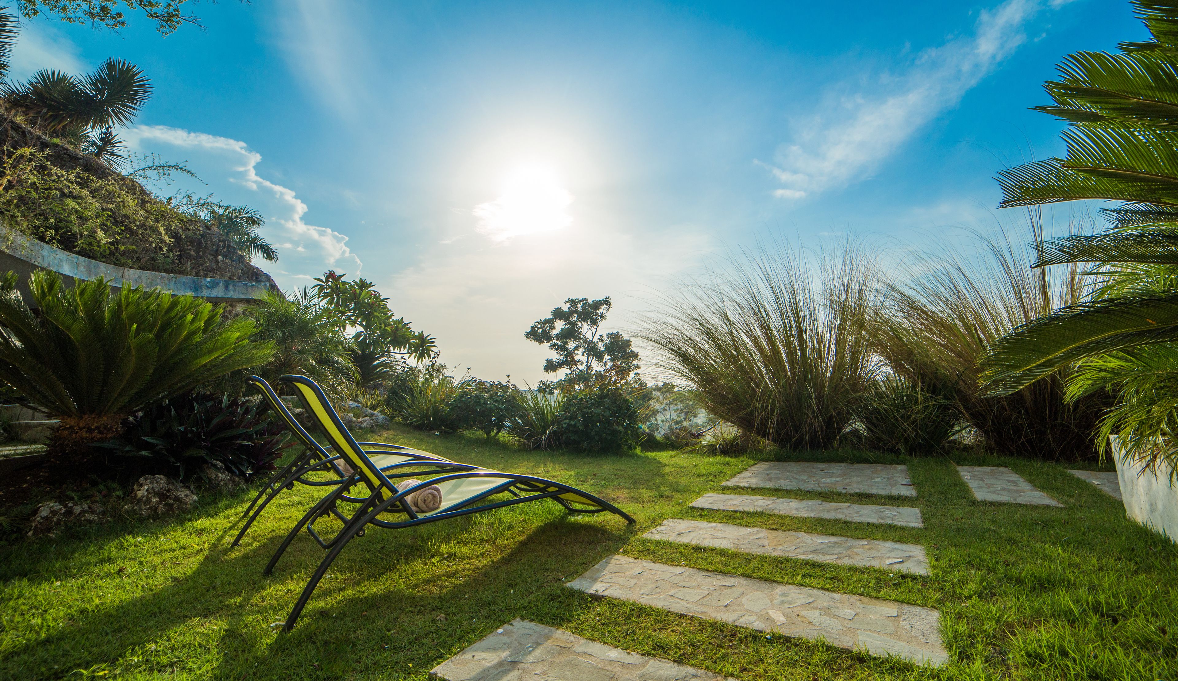 A garden with a chair, stone pathway, and various plants.