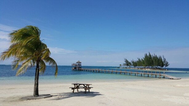 A beach with a wooden pier extending into the ocean, a palm tree, and a picnic table. - West End room (Roatan)