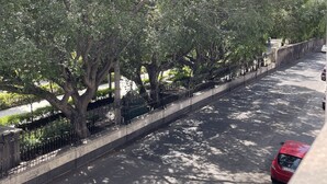 Una calle arbolada con coches aparcados y una acera.