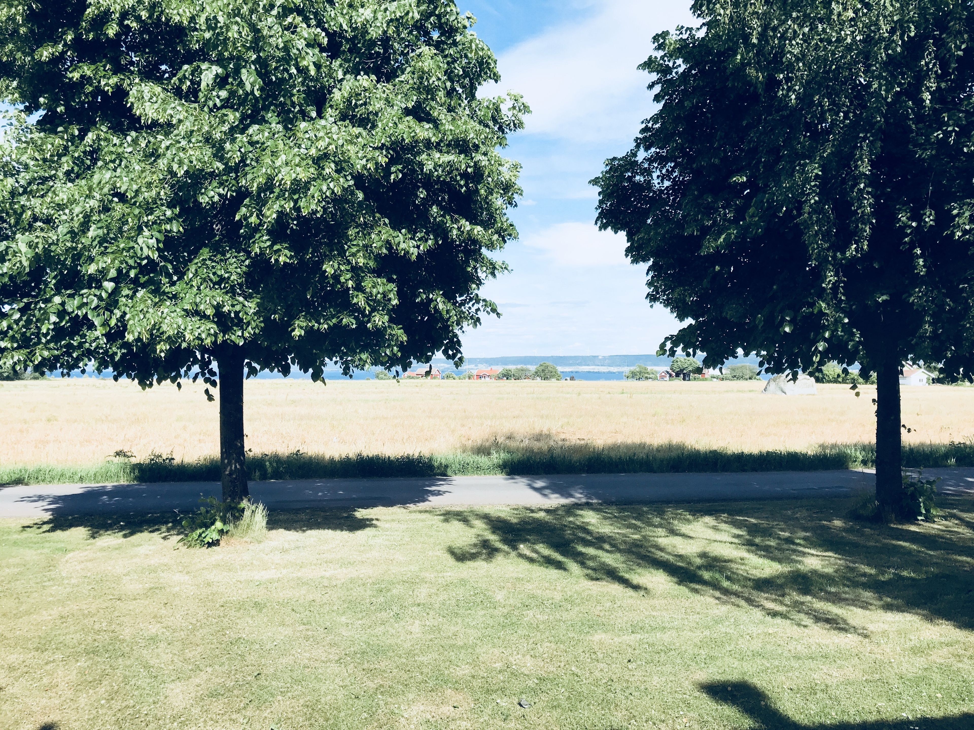 Vista des de l'allotjament