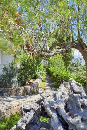 Jardim