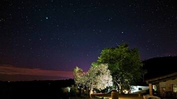 A starry night sky over a residential area with trees and a building.