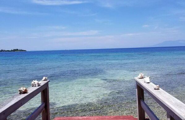 Vista desde la propiedad