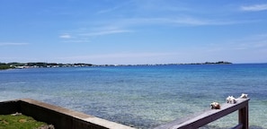 Dock