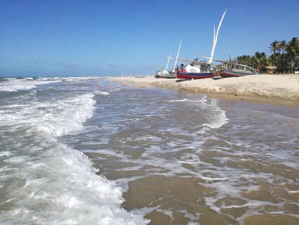 Beach nearby - Hostel Ocaporé (Trairi)