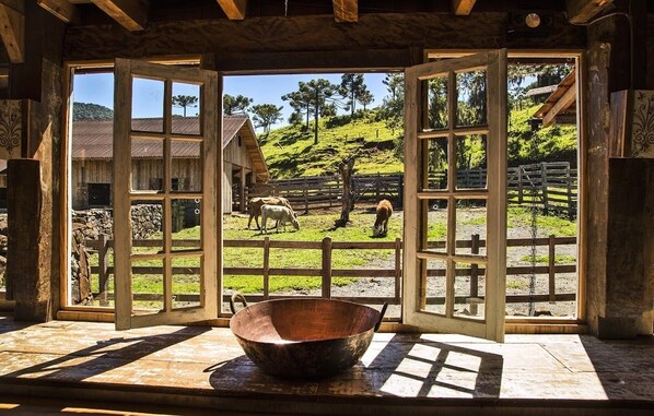 Comfort House | View from room