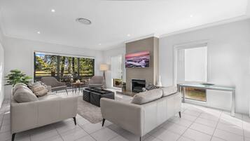 TV, fireplace, DVD player