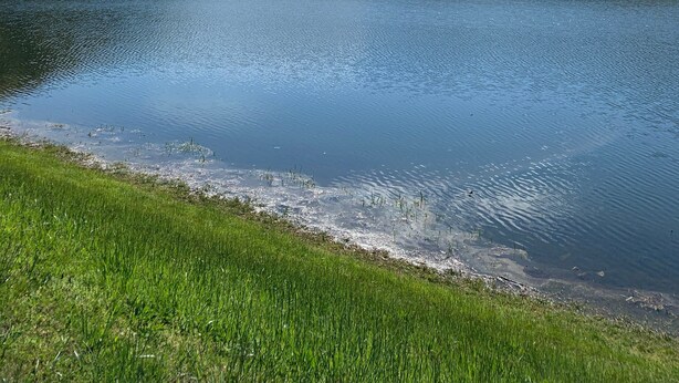 Un lago tranquilo rodeado de verdes colinas y un cielo azul despejado con algunas nubes.