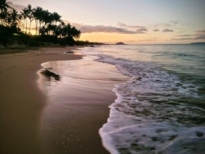 Una playa con una costa curva, palmeras y una masa de tierra a lo lejos.