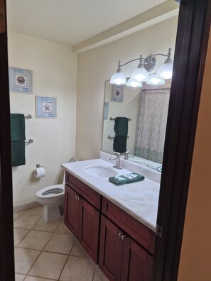Shower, hair dryer, towels