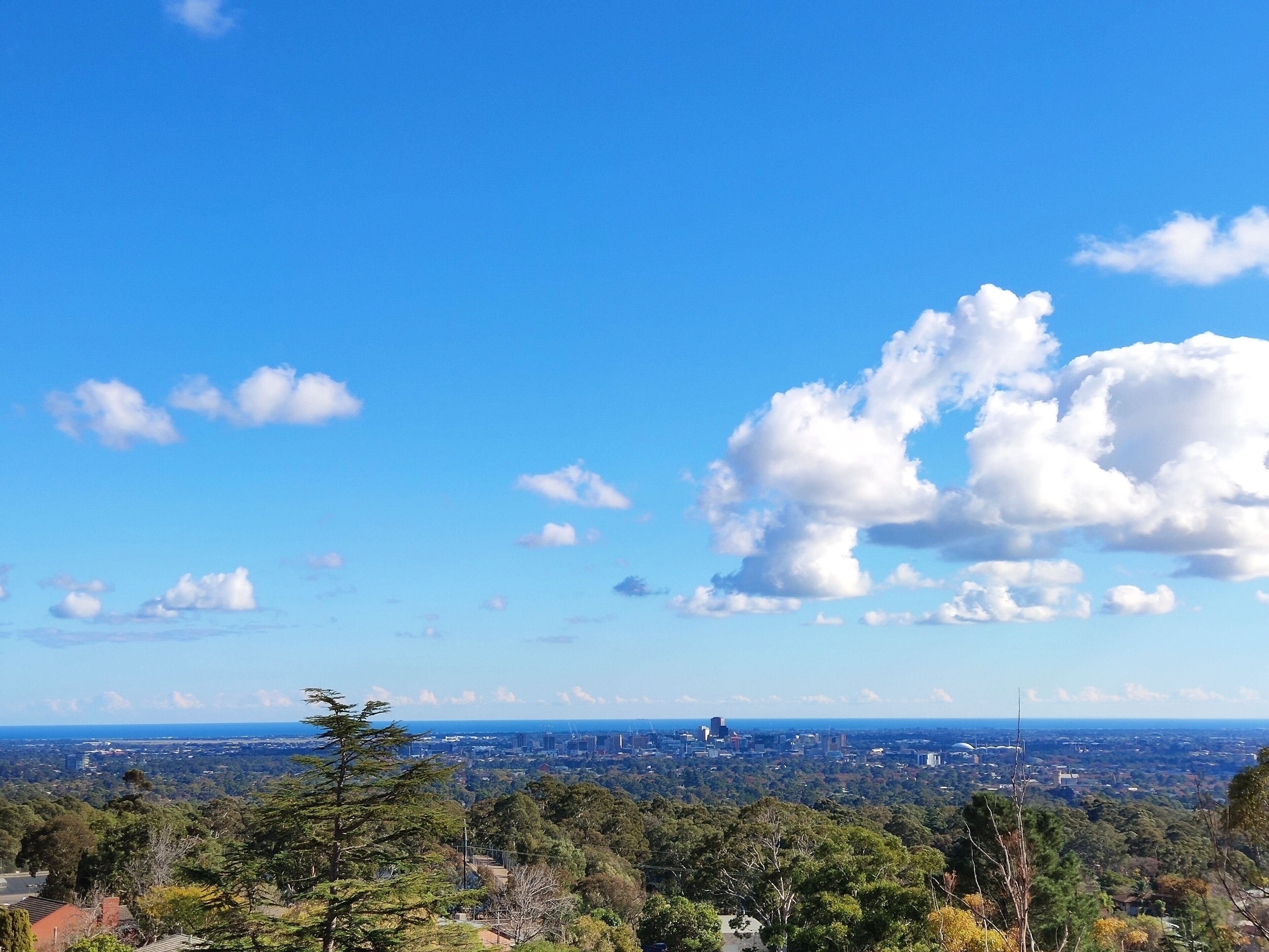 Tranquil hilltop with spectacul view-Free netflix-Penfolds-15mins from CBD