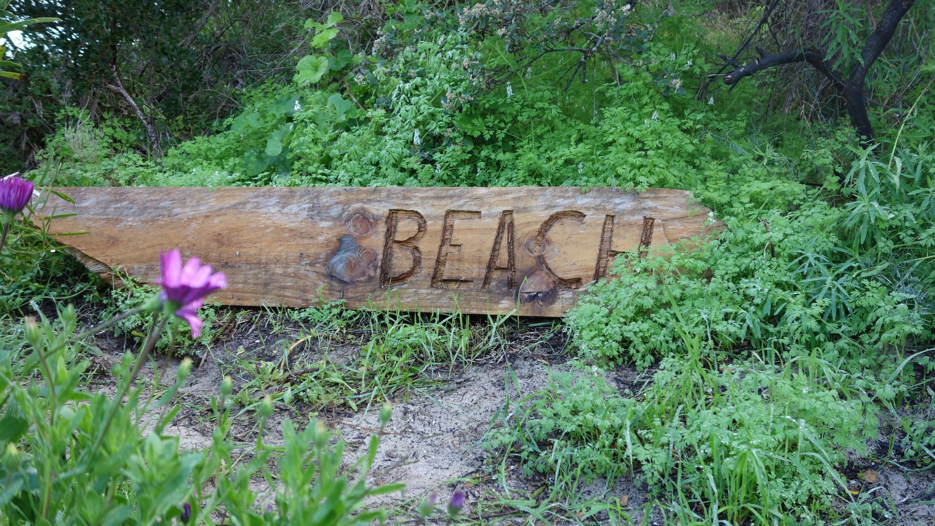 Oceana Sunset - Beachfront family friendly holiday home with amazing ocean views — image 16