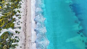 Plage, chaises longues, serviettes de plage