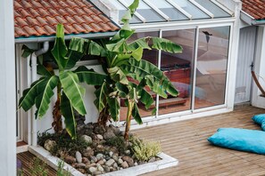 Une terrasse en bois avec un bananier en pot, une porte vitrée et un coussin bleu.