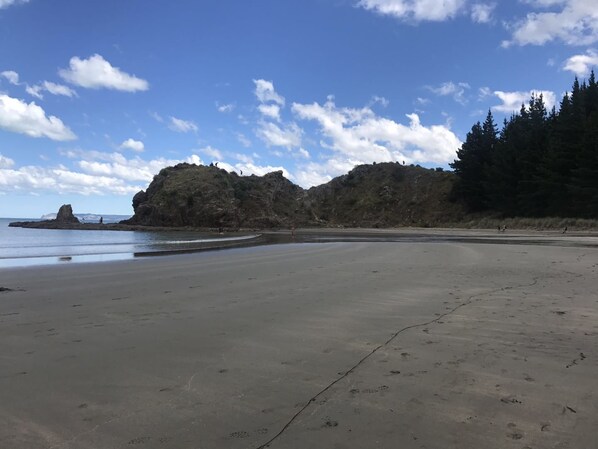 Beach - Peace Haven Backpackers (Blenheim)