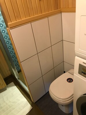 Ducha, secador de pelo, toallas