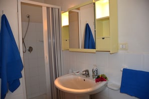 Shower, hair dryer, bidet, towels