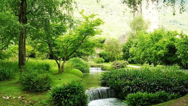 Ein üppiger Garten mit einem kleinen Wasserfall, dichter Bepflanzung und einer Steinstruktur im Hintergrund.