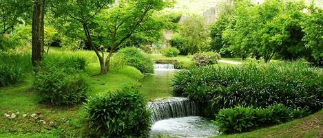 Áreas de la propiedad