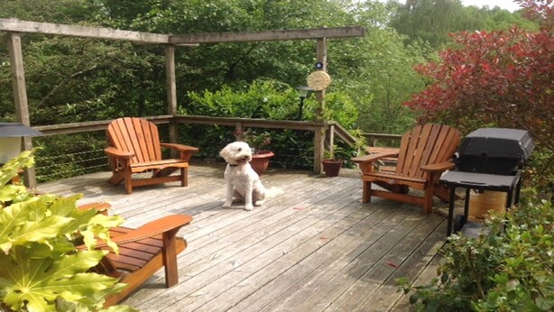 A wooden deck with two Adirondack chairs, a small dog, a hanging planter, and a grill.