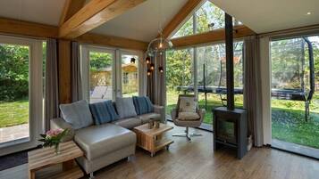 Télévision, cheminée