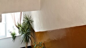 Eine Decke mit einem farbenfrohen Regenschirm, drei Hüten und einem Blumentopf.