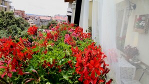 Ein Balkon mit roten Blumen und Blick auf Gebäude im Hintergrund.