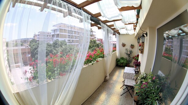 Ein schmaler Balkon mit Blick auf Gebäude und Blumen.