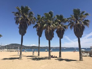 Ein Strand mit Palmen, sandigem Ufer und blauem Himmel.