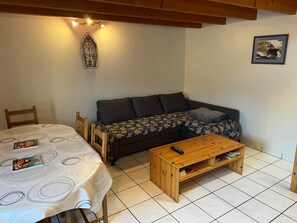 Tv, dvd-spelare, ett bordtennisbord och böcker