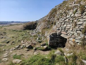 Eksteriør