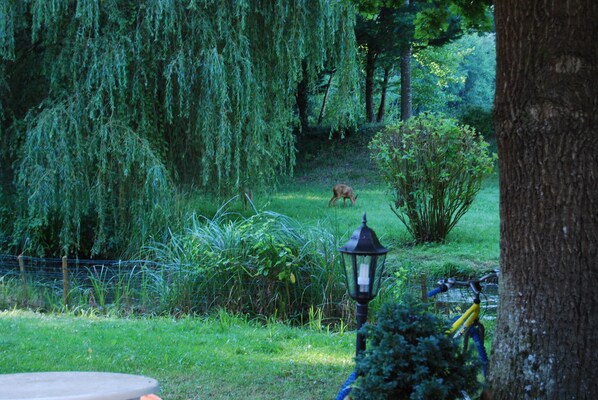Jardines del alojamiento