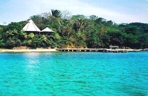Guests can enjoy stunning sea views from the resort's tranquil surroundings, surrounded by lush greenery and palm trees.