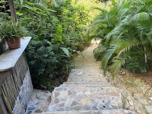 Stroll through the lush garden, surrounded by a variety of green plants and a stone staircase.