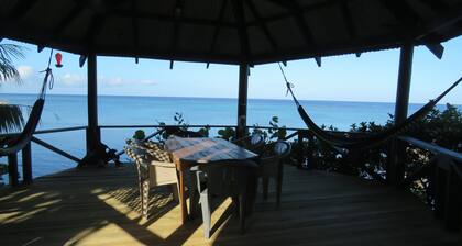 Tranquil One Acre Estate On The Beach w private pool Sunsets!!!