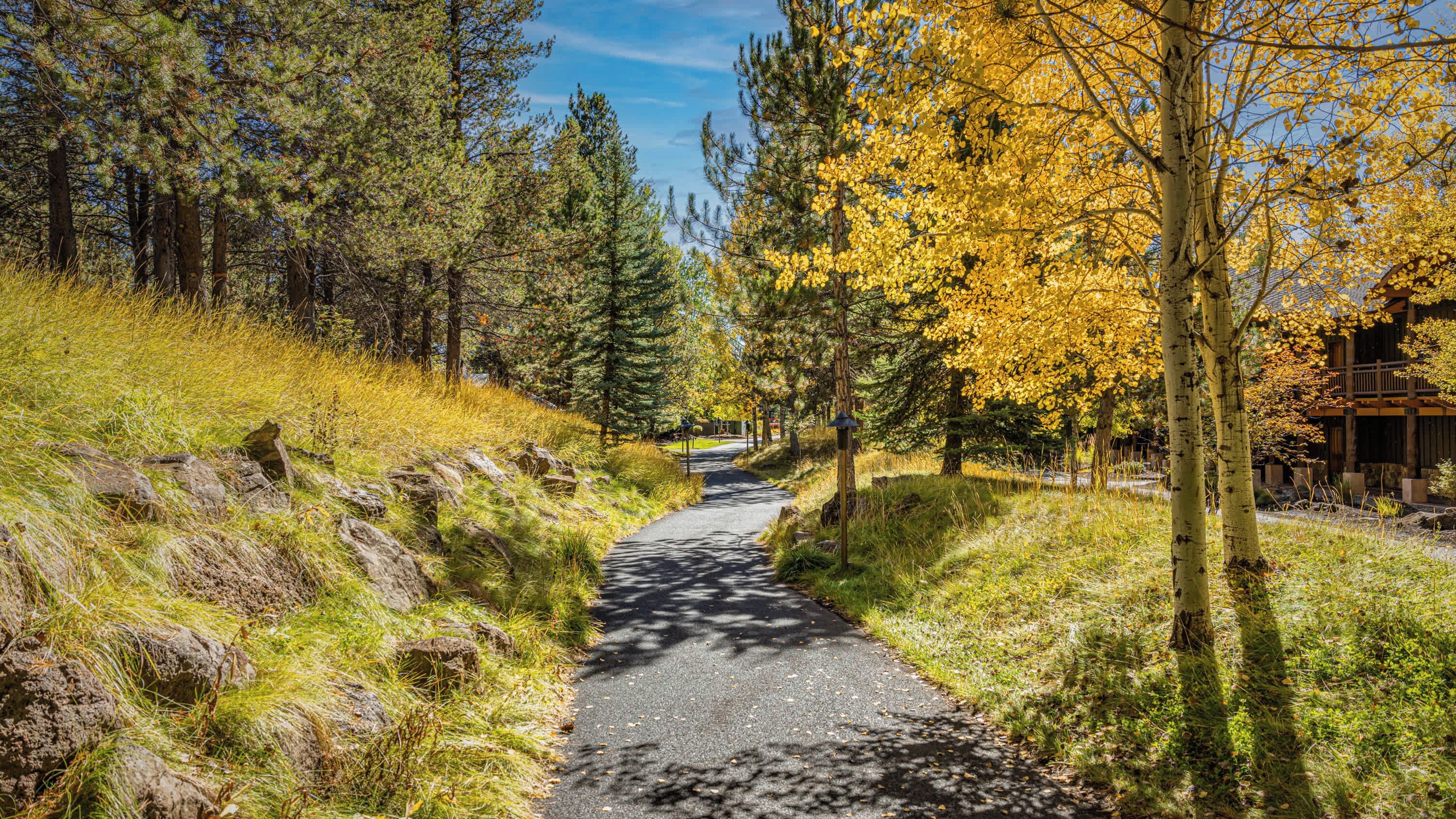 A pathway through a forest with trees displaying autumn foliage, leading to a building with a wooden deck.