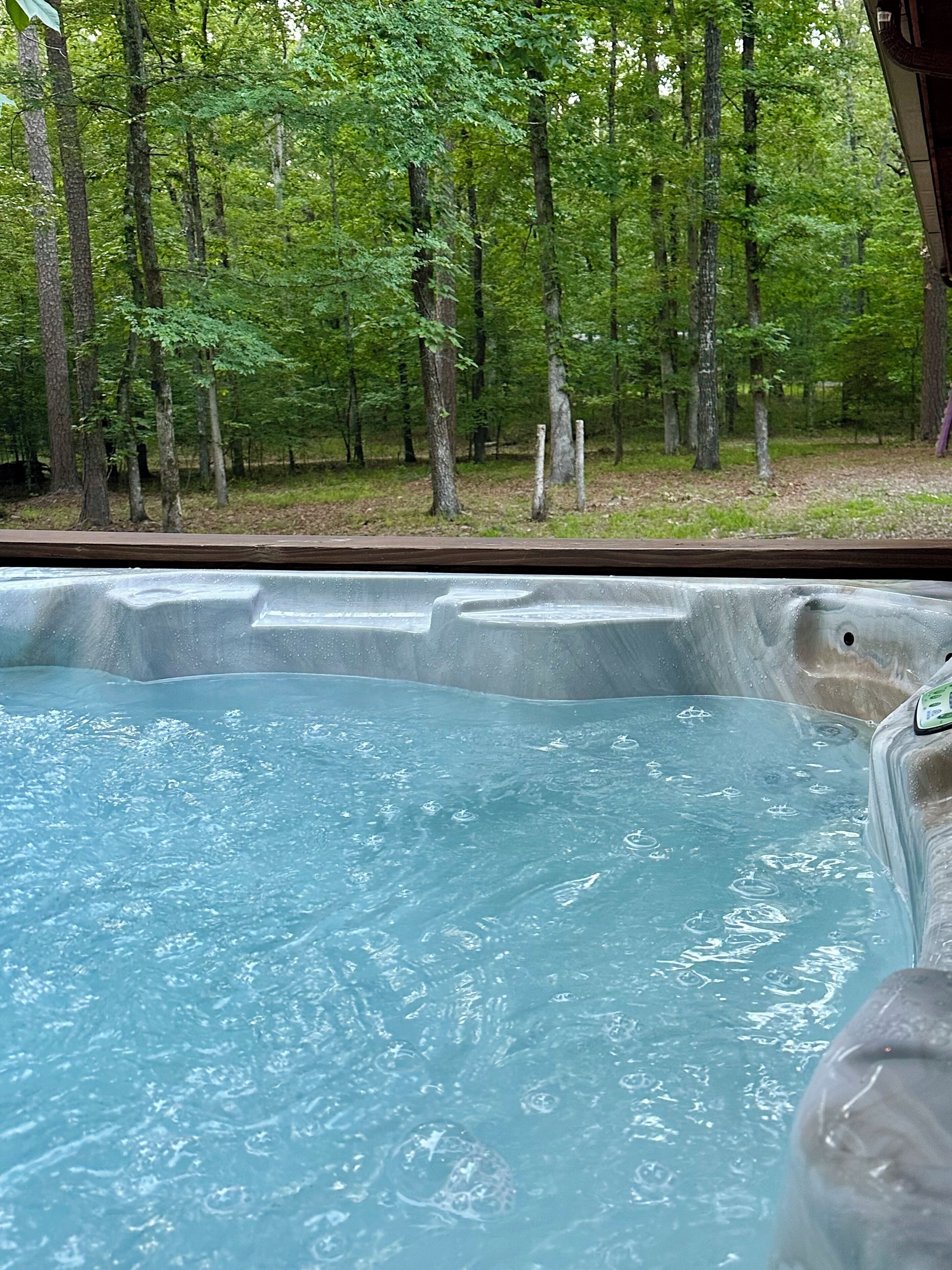 Un jacuzzi con vistas a un bosque.